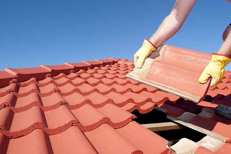 What You Should Know About Roofing Repair